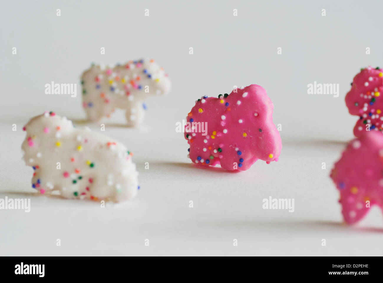 Rosa und weiß gefrostet Tier Cookies mit Streuseln aufstehen auf weißem Hintergrund Stockfoto