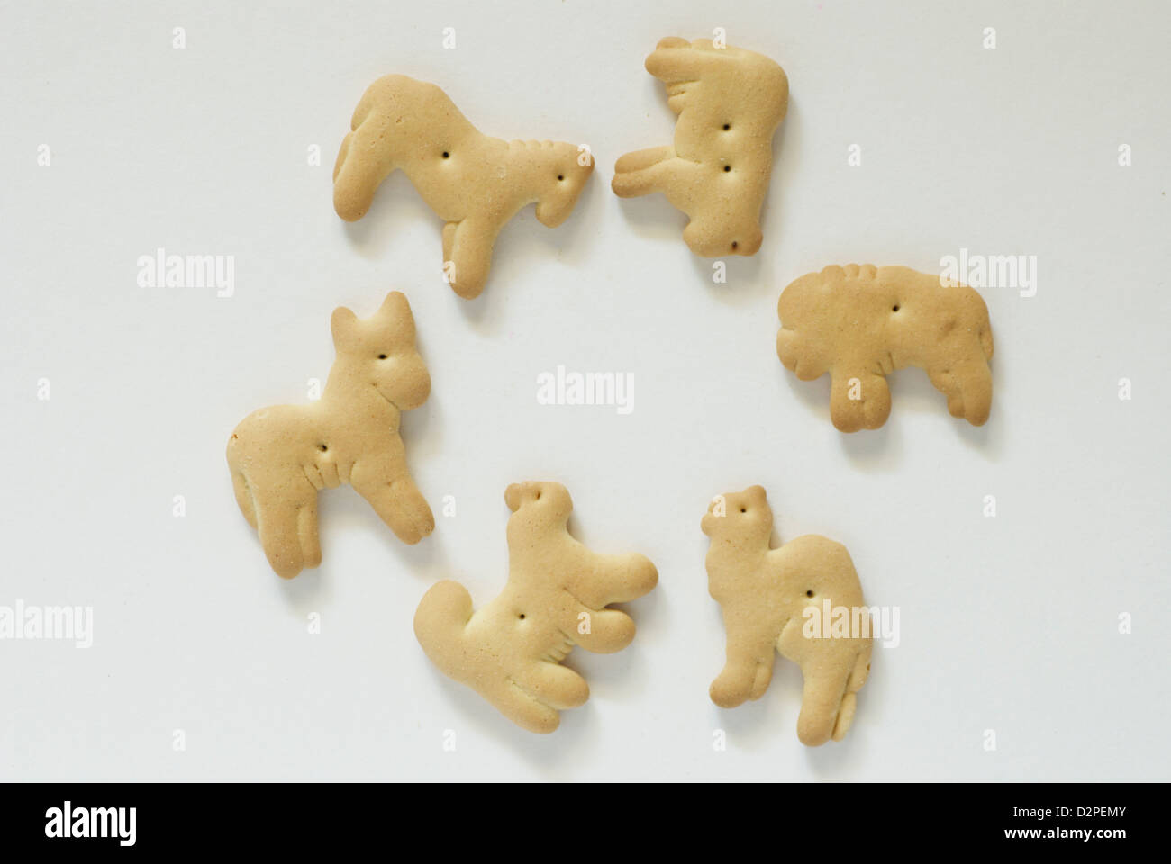 Animal Crackers auf weißem Hintergrund mit Schatten Stockfoto