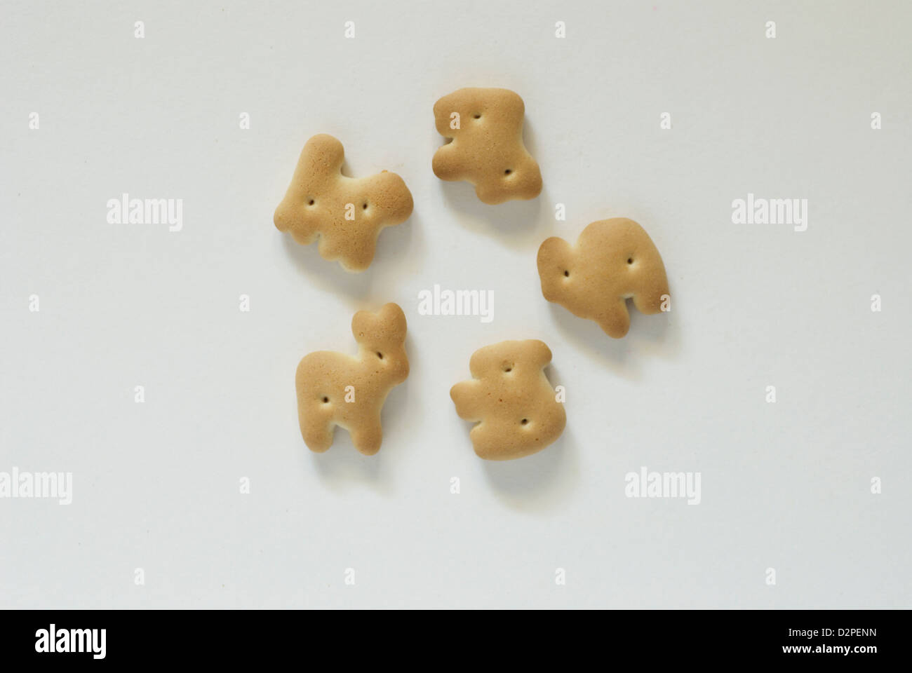 Animal Crackers auf weißem Hintergrund mit Schatten Stockfoto