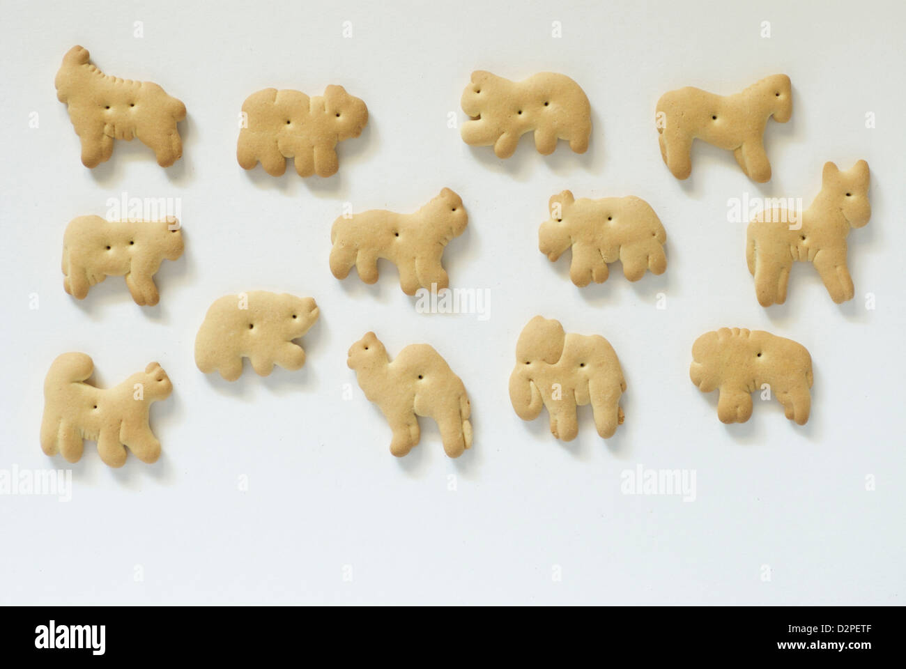 Animal Crackers verschiedene Tierformen aufgereiht auf weißem Hintergrund mit Schatten Stockfoto