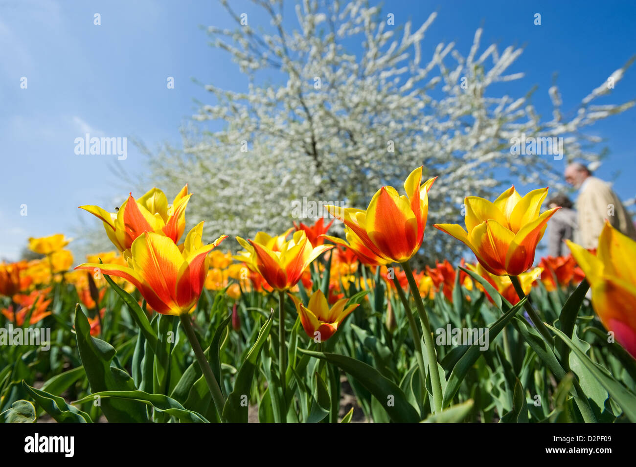 Berlin britz garden Fotos und Bildmaterial in hoher Auflösung Alamy