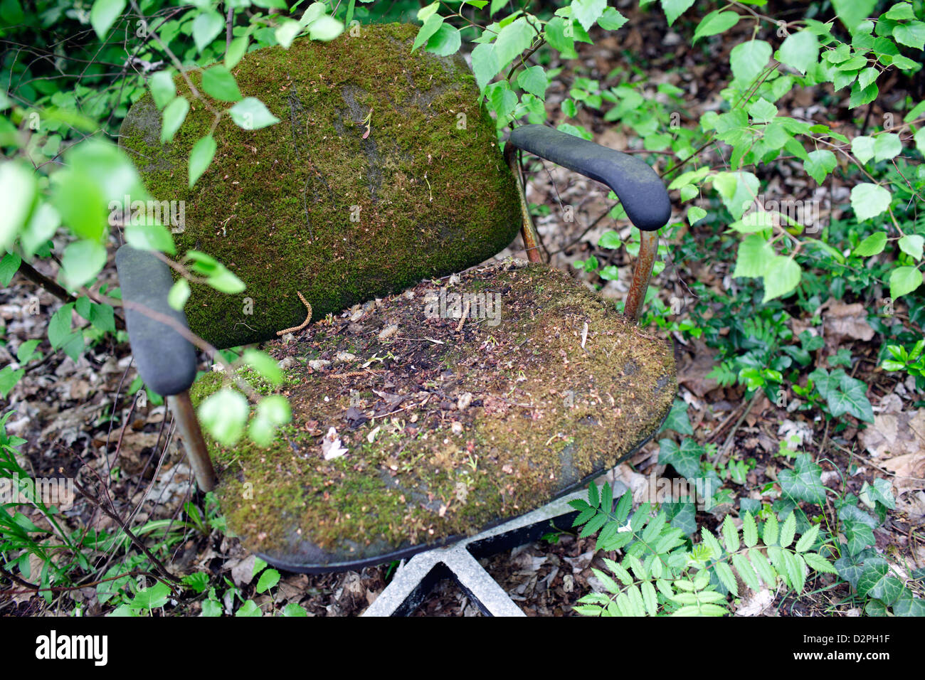 Berlin, Deutschland, moosbedeckten Stuhl im verwilderten Garten der irakischen Botschaft Stockfoto