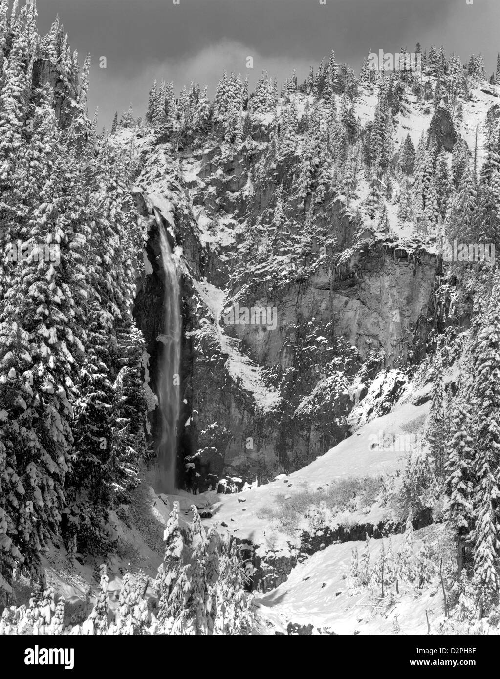 BW00322-00... WASHINGTON - frühen Schneefall bei Comet Falls im Mount Rainier National Park. Stockfoto