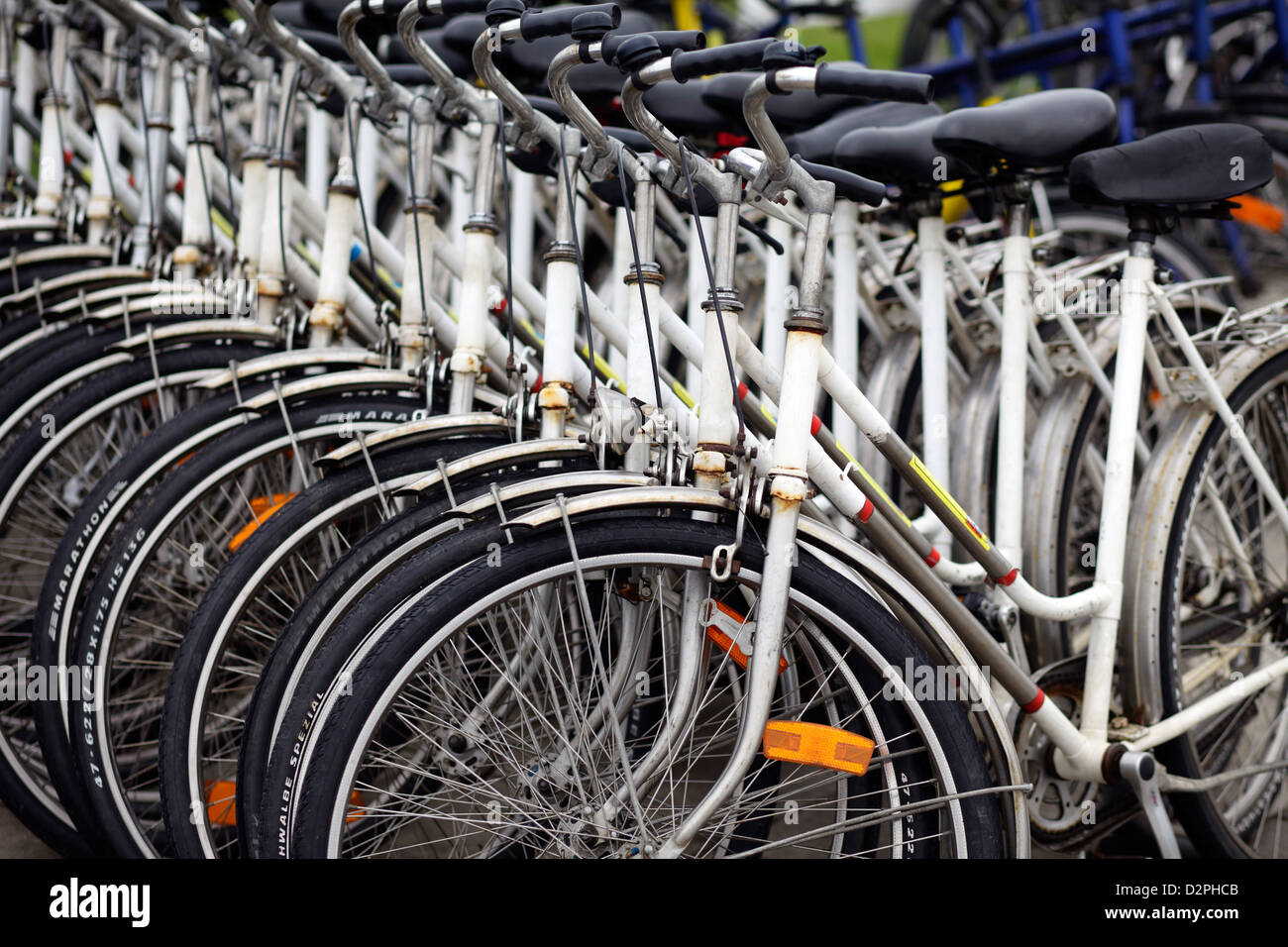 Hallig Hooge, Deutschland, Fahrräder einen Fahrradverleih Stockfoto