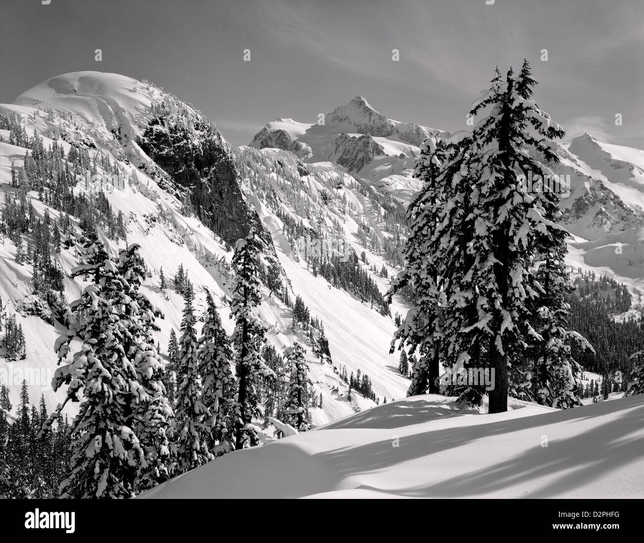 BW00857-00... WASHINGTON - Mount Shuksan im Winter von Austin Pass im Erholungsgebiet Heather Wiesen gesehen. Stockfoto