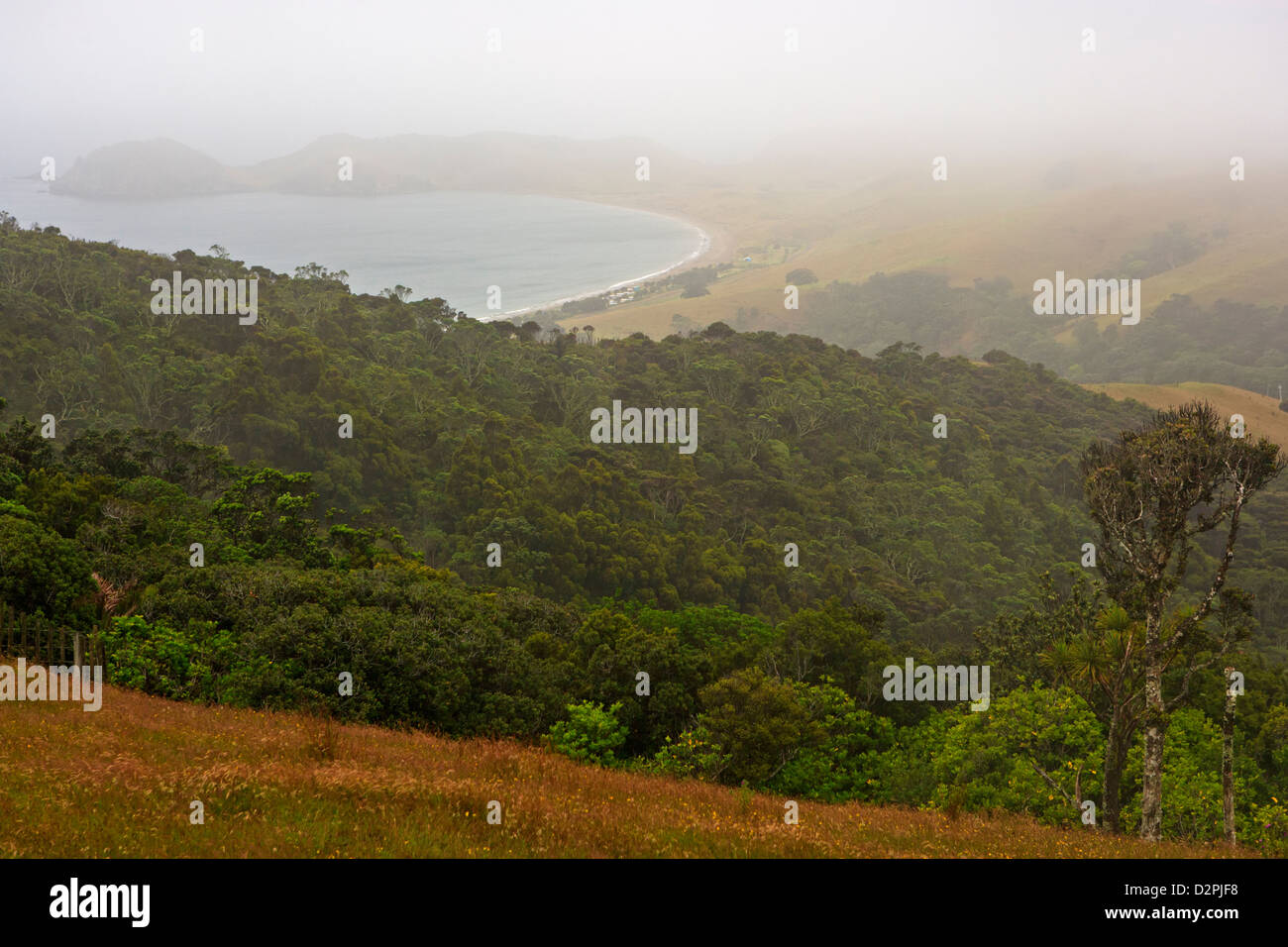 Port Jackson Strand und Campingplatz auf der Coromandel Halbinsel, Nordinsel, Neuseeland. Stockfoto