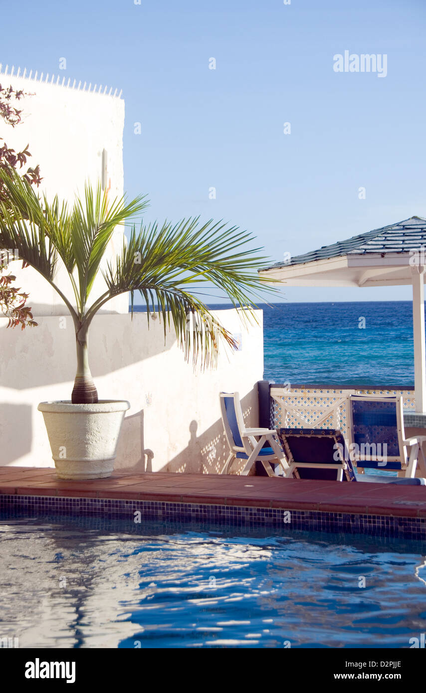 Swimming Pool Sonnenliegen mit Tropenpflanze Karibik St. Lawrence Gap, Barbados Stockfoto