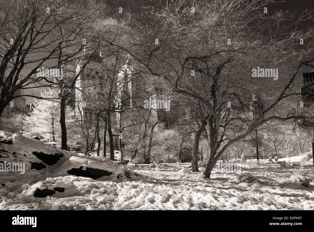 Central Park New York City im Winter. Stockfoto