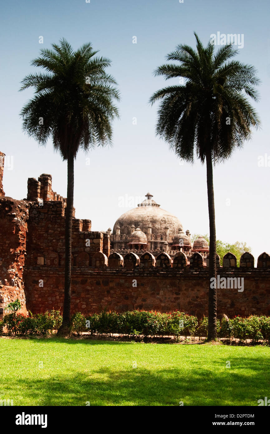 Ruine einer Festung, alte Festung, Delhi, Indien Stockfoto