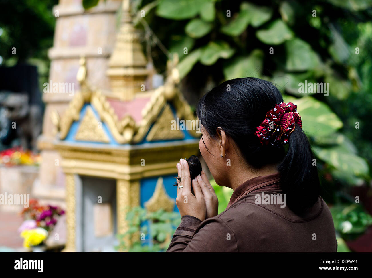 Frau befreit Vogel am Wat Phnom, buddhistischen Schrein in Phnom Penh. Stockfoto
