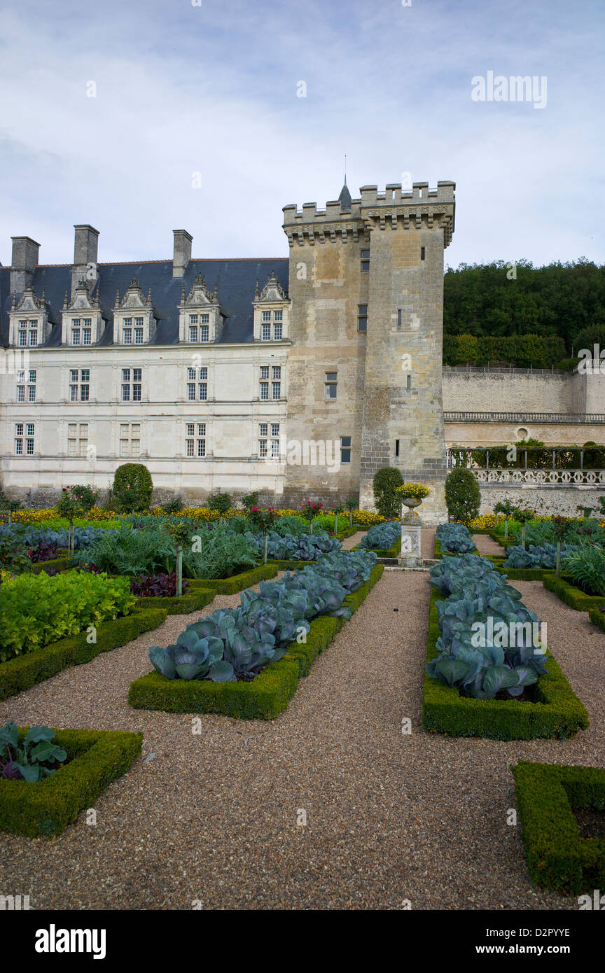 Gemüsegarten, Chateau de Villandry, UNESCO-Weltkulturerbe, Indre-et-Loire, Touraine, Loiretal, Frankreich Stockfoto