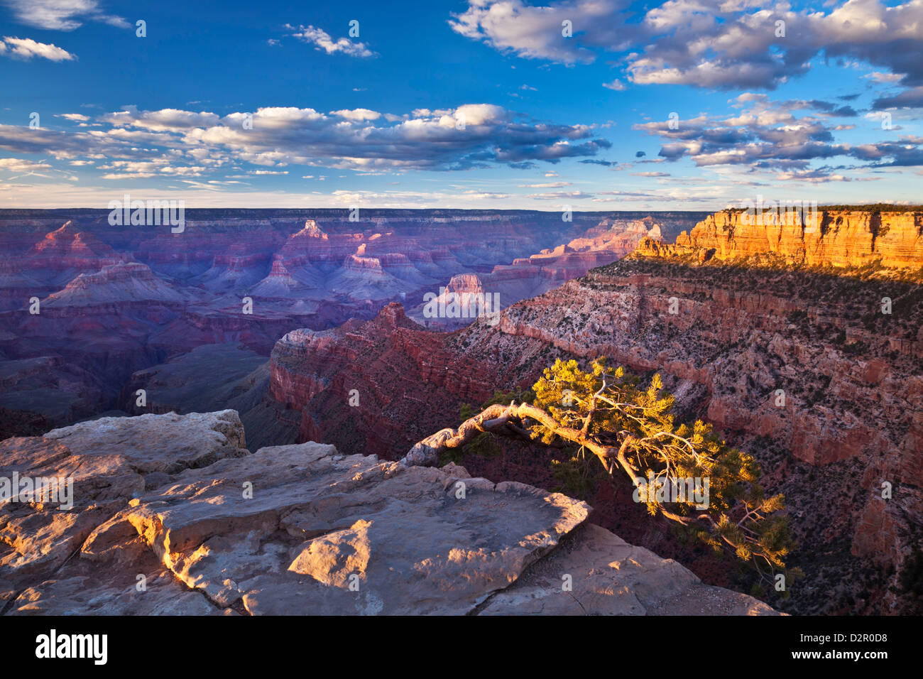 Pipe Creek Vista Point Overlook, South Rim, Grand Canyon National Park, Arizona, USA Stockfoto