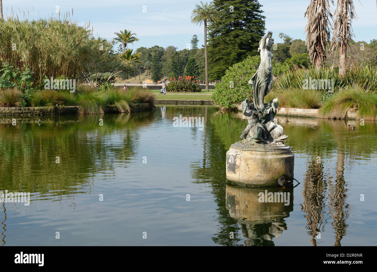 Royal Botanic Gardens, Sydney, New South Wales, Australien, Pazifik Stockfoto