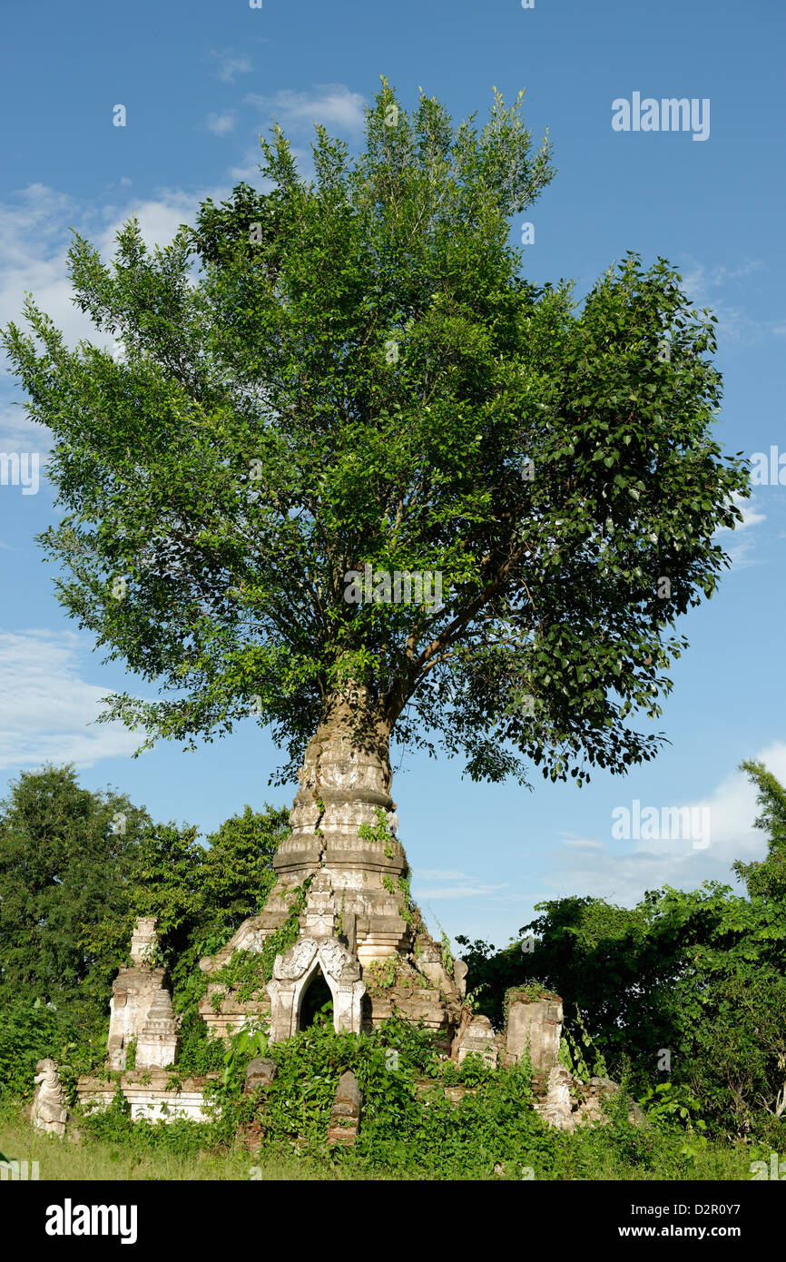 Buddhistisches Kloster, Hsipaw Bereich, Shan-Staat, Republik der Union von Myanmar (Burma), Asien Stockfoto