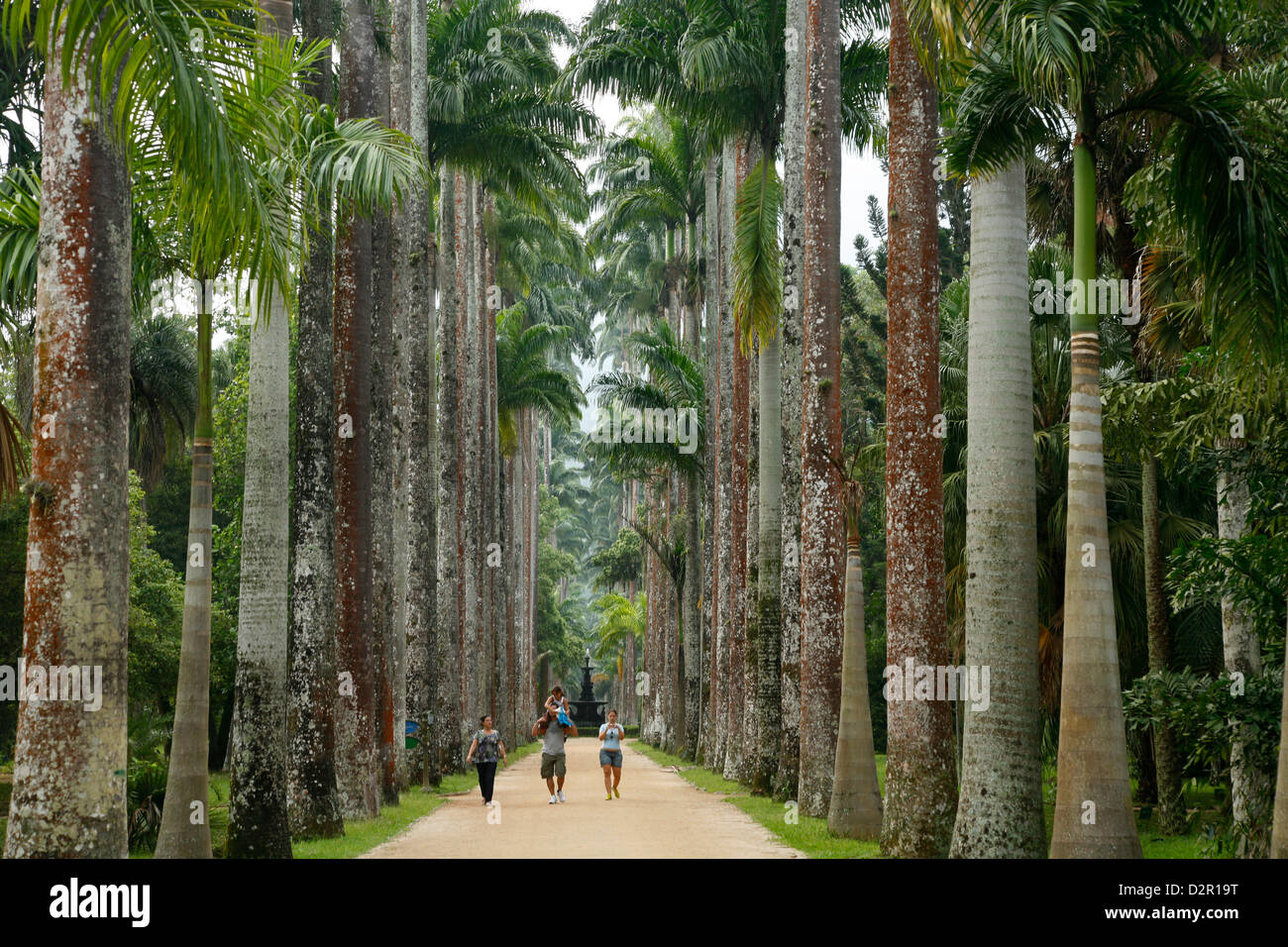 Jardim Botanico (Botanischer Garten), Rio De Janeiro, Brasilien