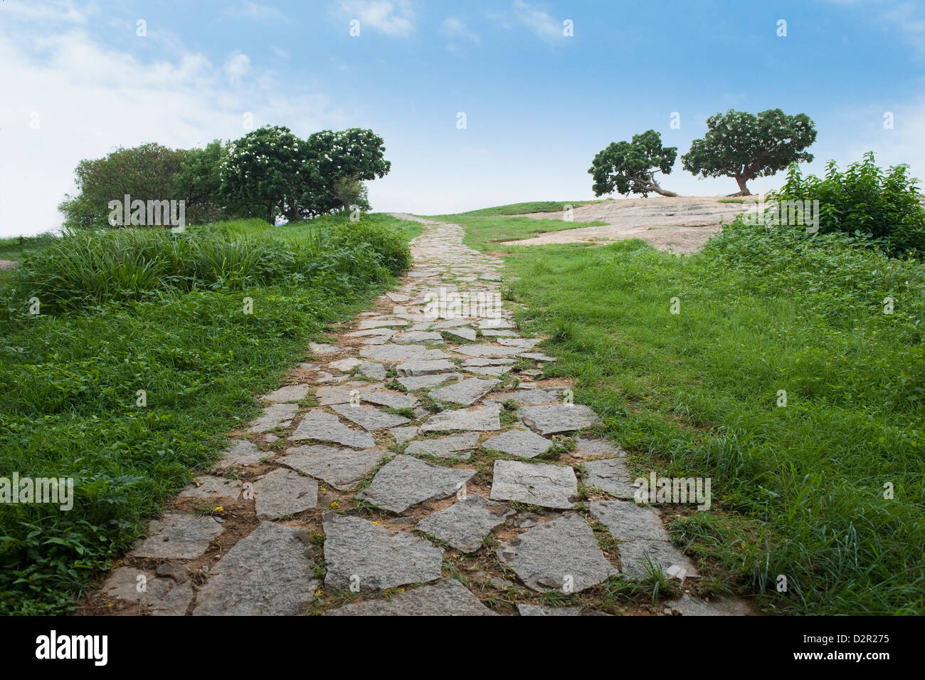 Wanderweg in einem Park, Bangalore, Karnataka, Indien Stockfoto