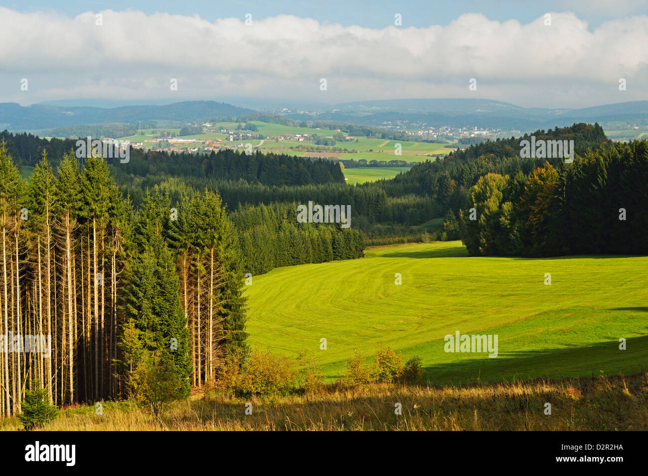 Blick auf Wald und Breitenberg in der Ferne, Bayern, Deutschland, Europa Stockfoto