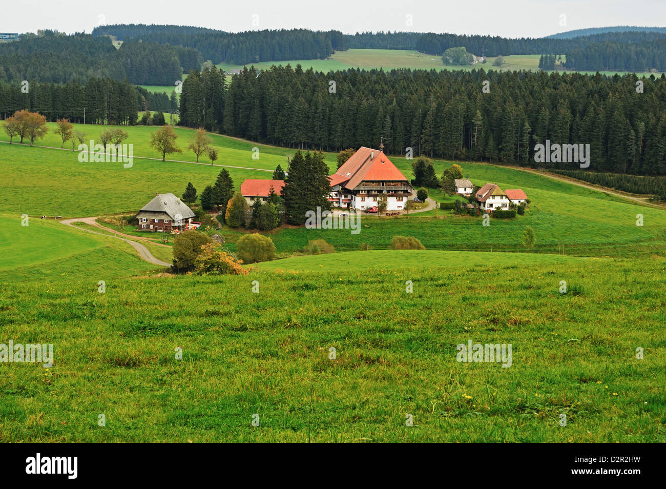 Schwarzwälder Bauernhaus, in der Nähe von Neukirch, Schwarzwald, Baden-Wurttemberg, Deutschland, Europa Stockfoto