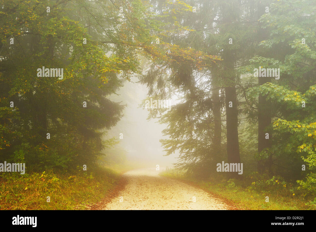Herbst-Szene in Morgen Nebel, Schwäbische Alb, Baden-Württemberg, Deutschland, Europa Stockfoto