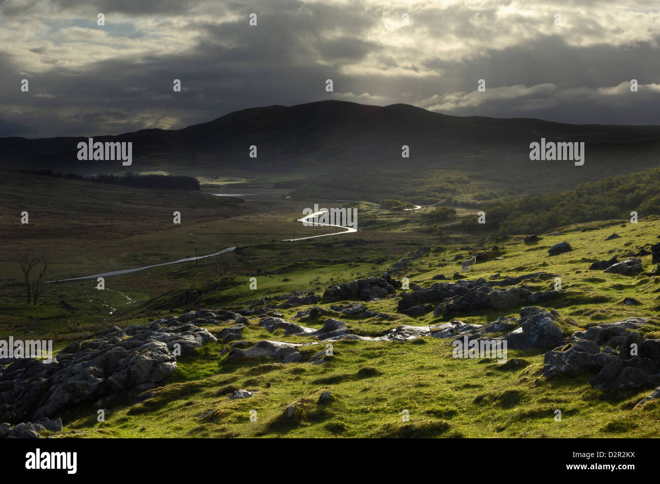 Straße von Broadford nach Elgol, Isle Of Skye, innere Hebriden, Schottland, Vereinigtes Königreich, Europa Stockfoto