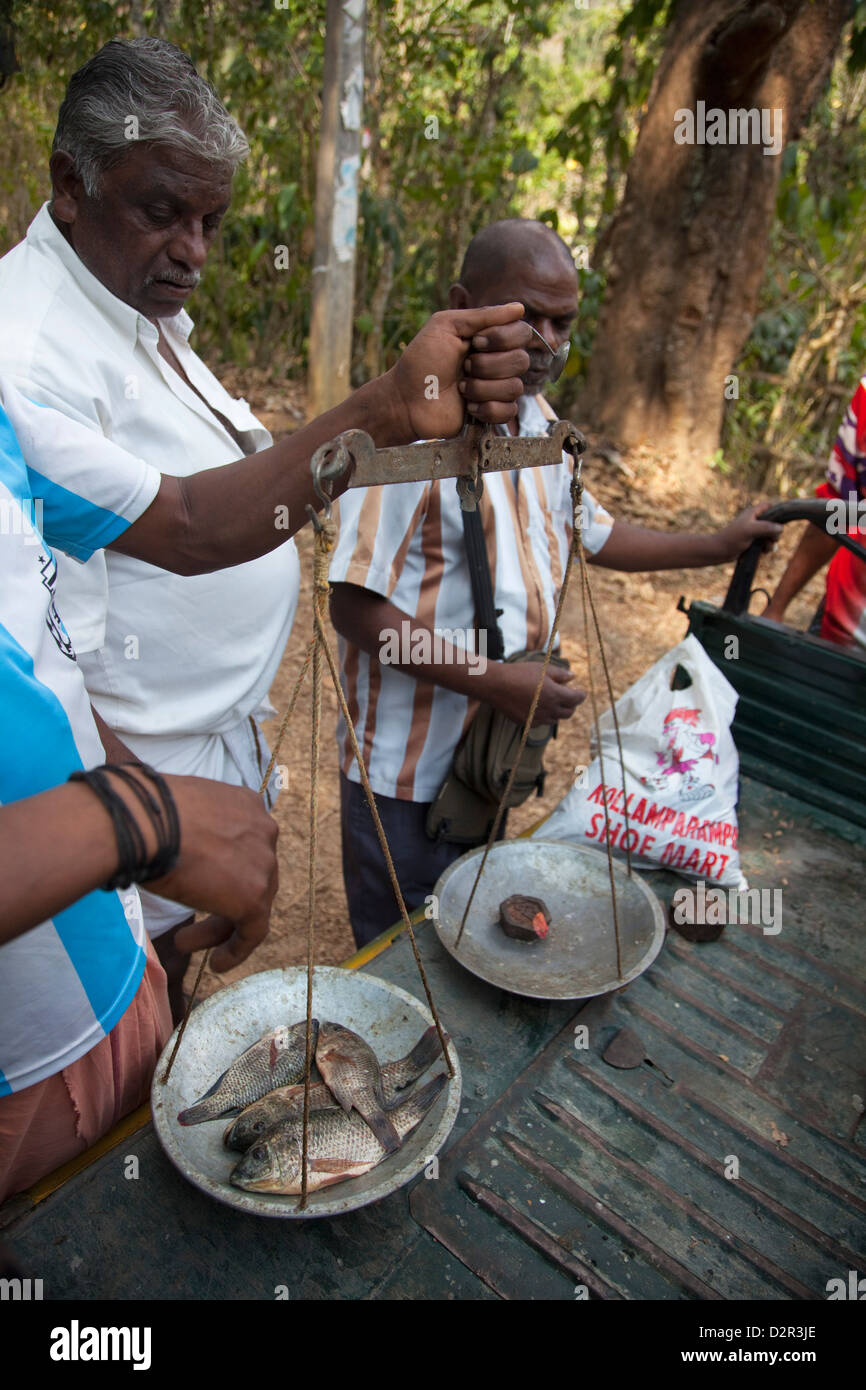 Mobiler Fischhändler mit einem Gewicht von Fisch in Periyar, Kerala, Indien, Asien Stockfoto