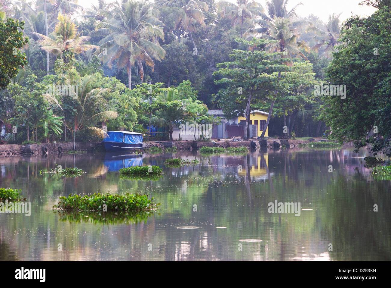 Boot vor Anker am noch Kerala Backwaters, Kerala, Indien, Asien Stockfoto