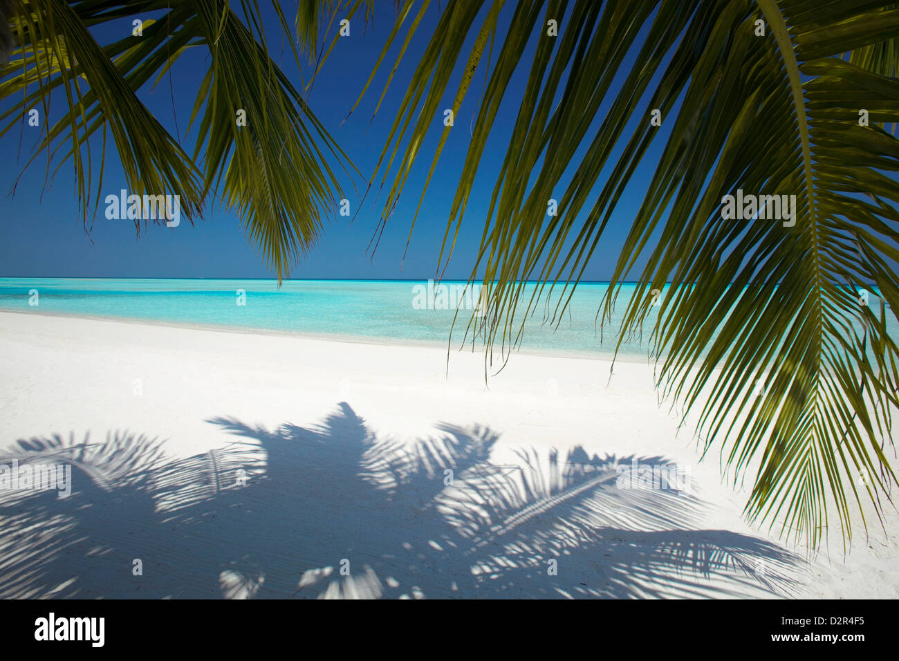 Tropischer Strand, Malediven, Indischer Ozean, Asien Stockfoto