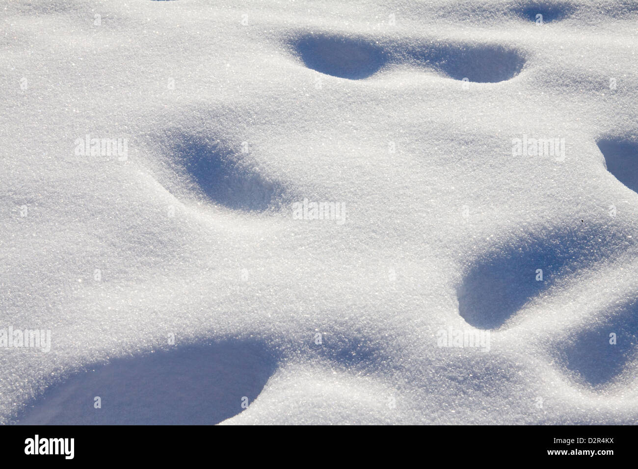Spuren im Schnee Stockfoto