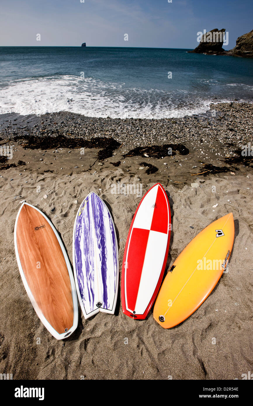 Vielzahl von Shortboards auf Sand am Gewässerrand Stockfoto