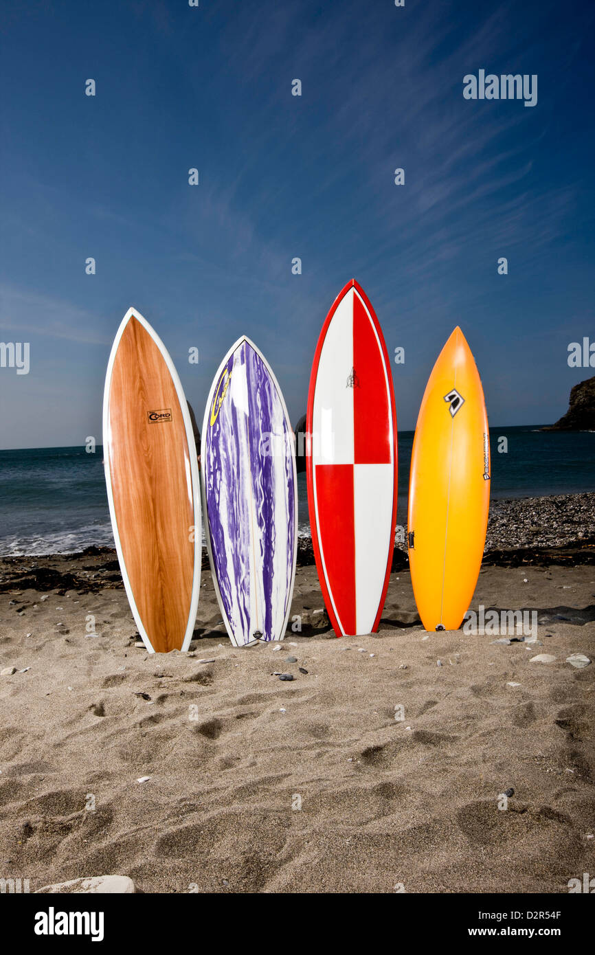 Vielzahl von Shortboards in Sand am Gewässerrand Stockfoto