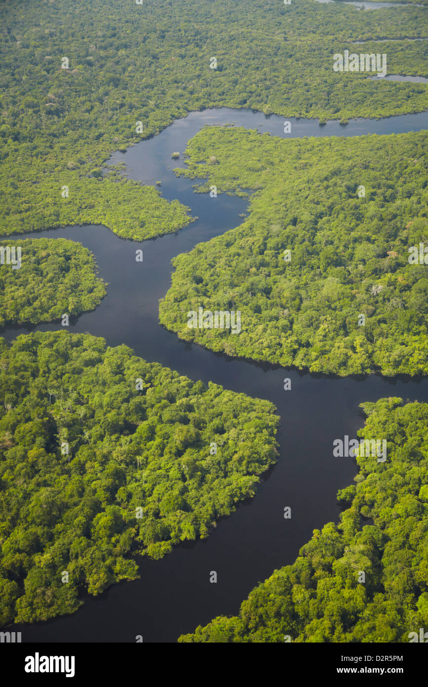 Luftaufnahme des Amazonas-Regenwaldes und Nebenfluss des Rio Negro, Manaus, Amazonas, Brasilien, Südamerika Stockfoto