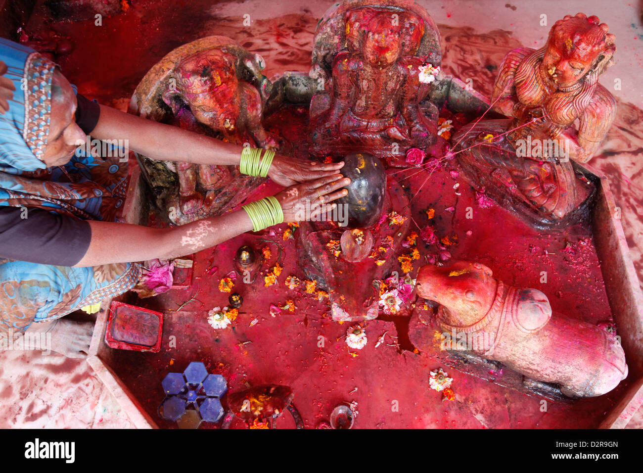 Hindu-Frau anbeten ein Lingam während Holi-Fest in Goverdan, Uttar Pradesh, Indien, Asien Stockfoto