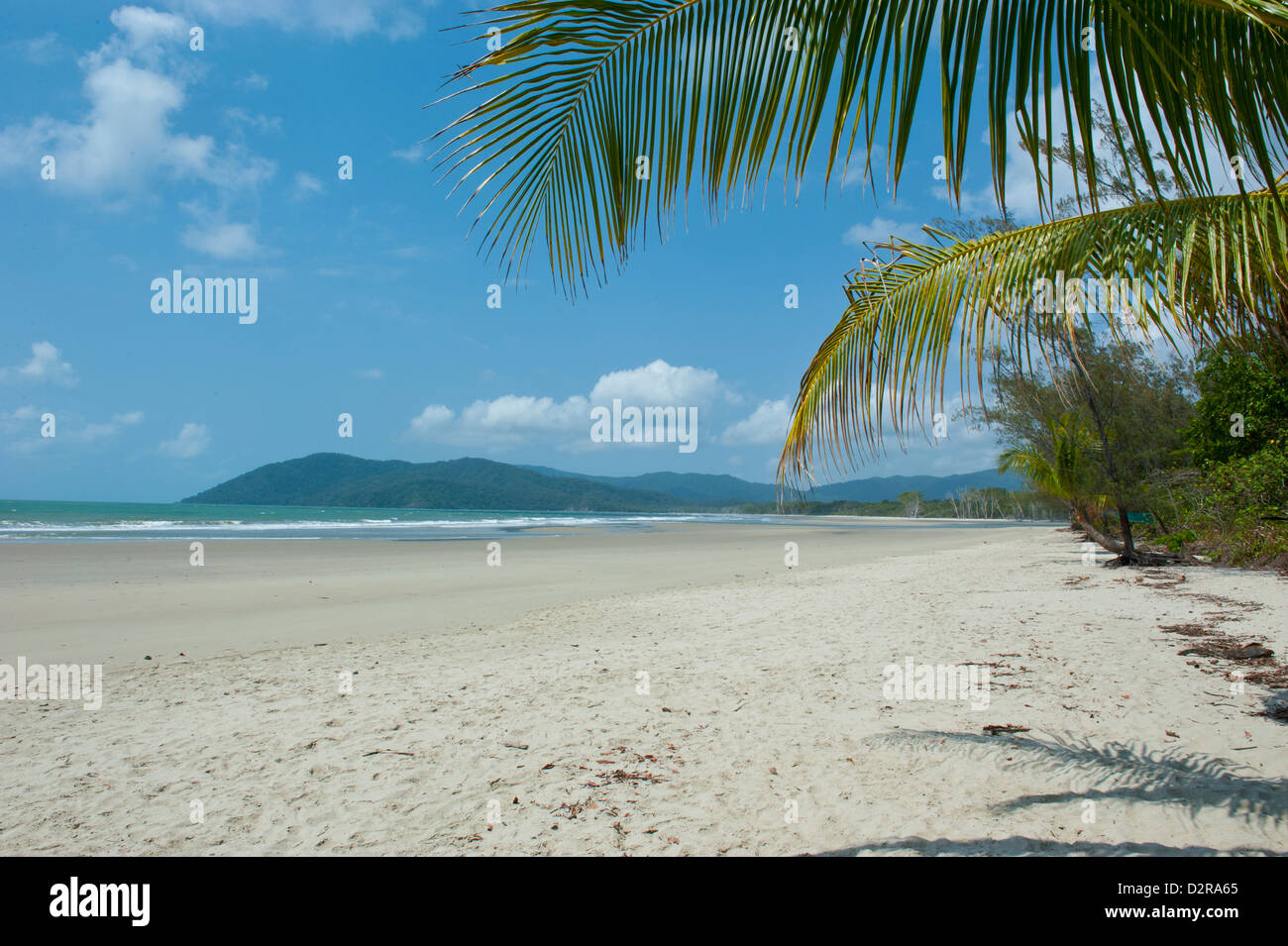 Schöner Sand Strand, Cape Tribulation, Queensland, Australien, Pazifik Stockfoto