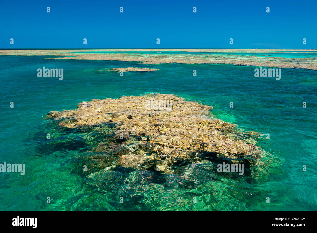 Antenne des Great Barrier Reef. UNESCO World Heritage Site, Queensland, Australien, Pazifik Stockfoto