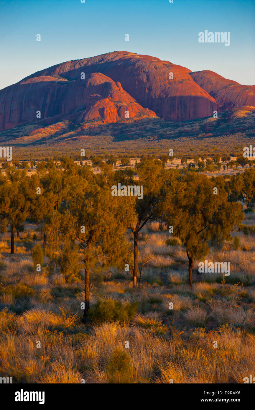 Die Olgas (Kata Tjuta), Uluru-Kata Tjuta National Park, UNESCO-Weltkulturerbe, Northern Territory, Australien, Pazifik Stockfoto