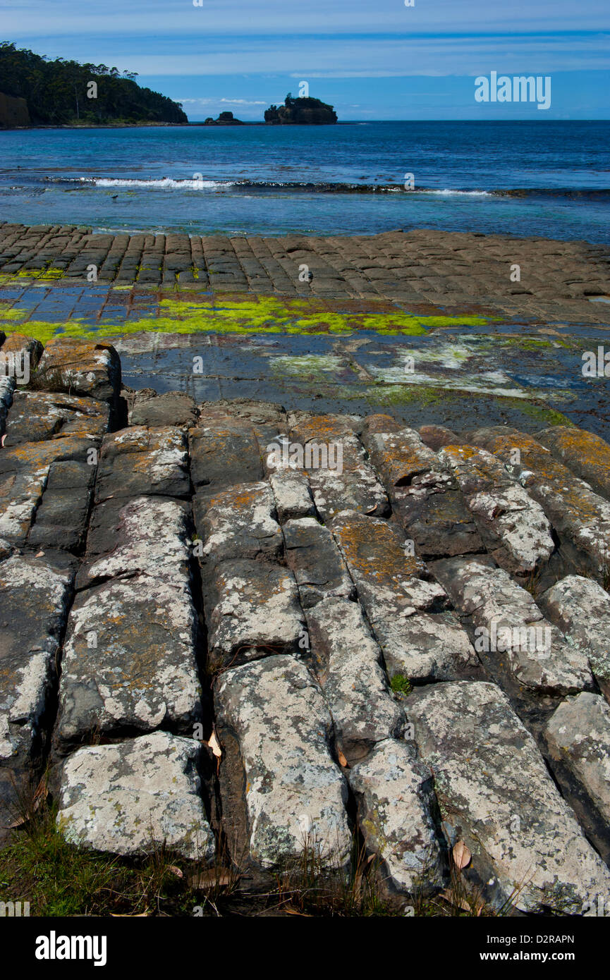 Tessellierte Pflaster, Tasman Halbinsel, Tasmanien, Australien, Pazifik Stockfoto