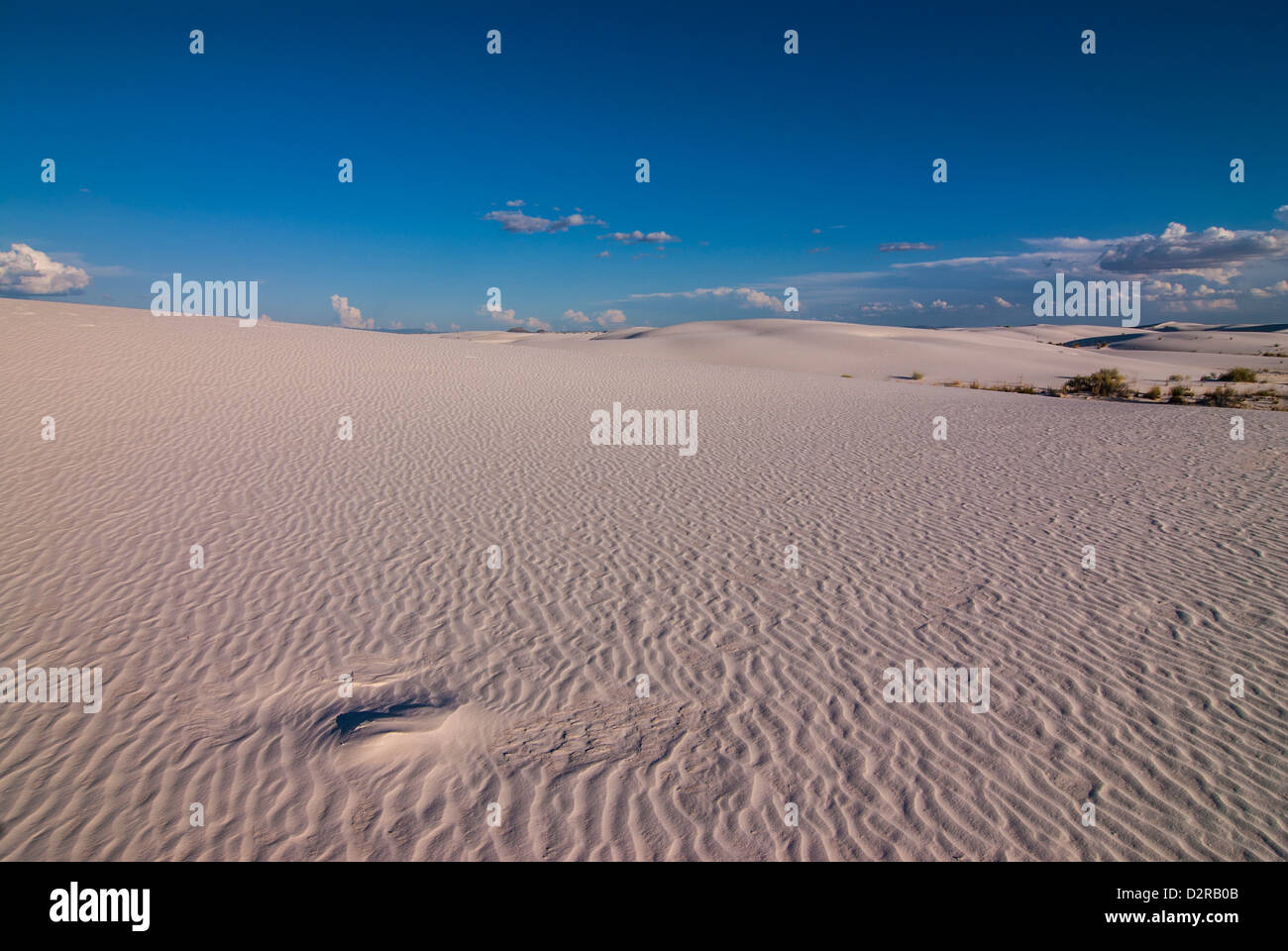 Wellige Gips, Sanddünen im White Sands National Monument, New Mexico, Vereinigte Staaten von ...