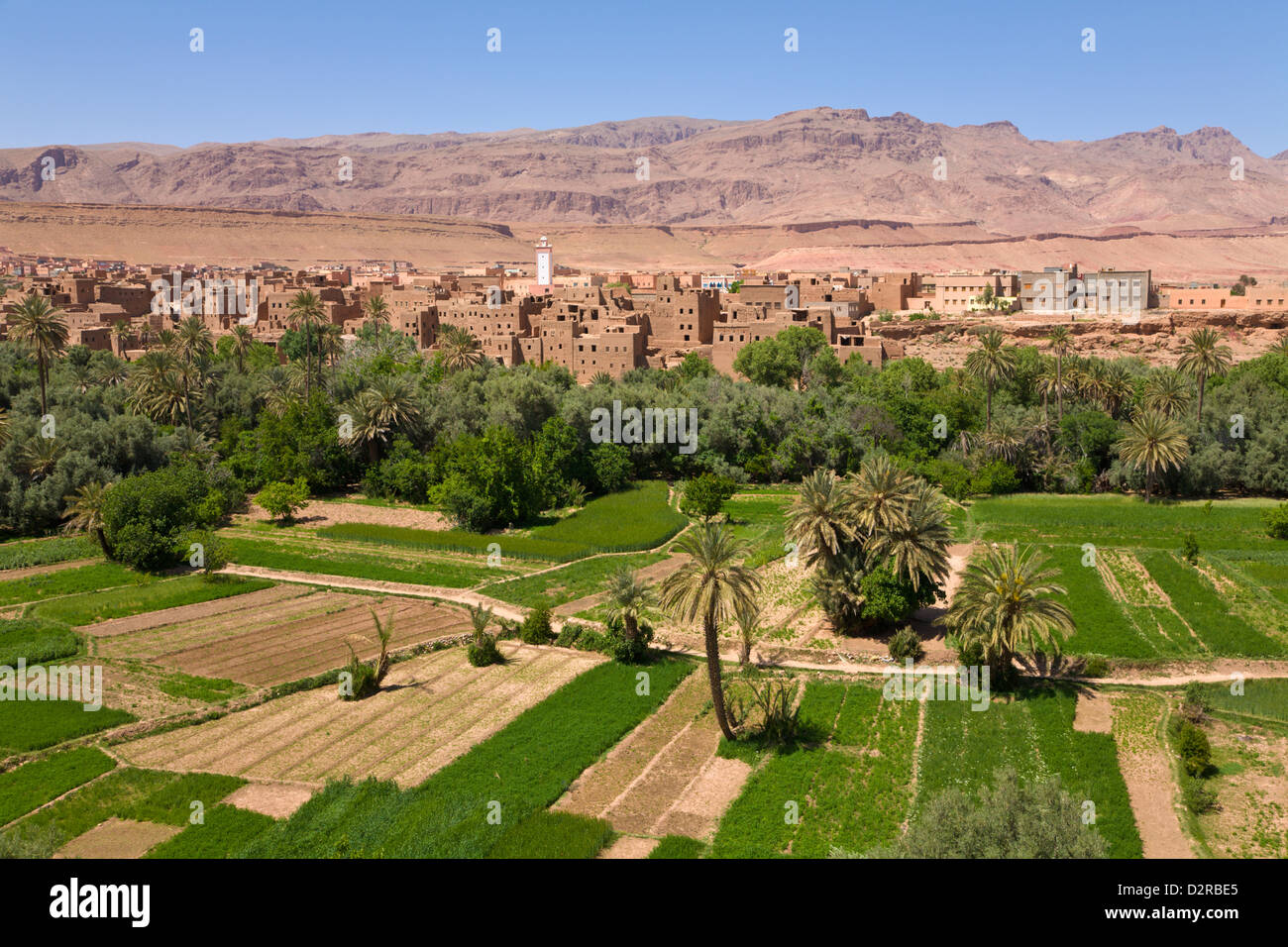 Dorf von Tinghir Dades Tal Atlasgebirge Marokkos Stockfoto