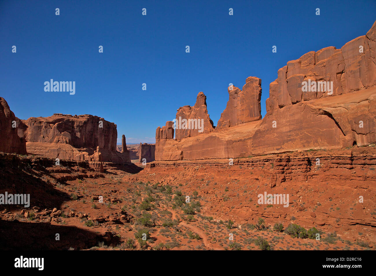 Park Lane, Arches-Nationalpark, Moab, Utah, Vereinigte Staaten von Amerika, Nordamerika Stockfoto