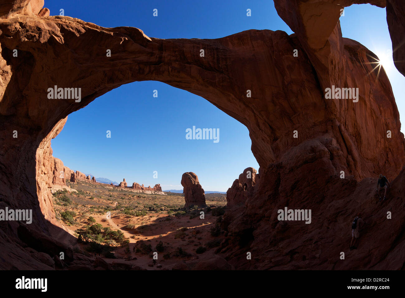 Doppelbogen, Arches-Nationalpark, Moab, Utah, Vereinigte Staaten von Amerika, Nordamerika Stockfoto