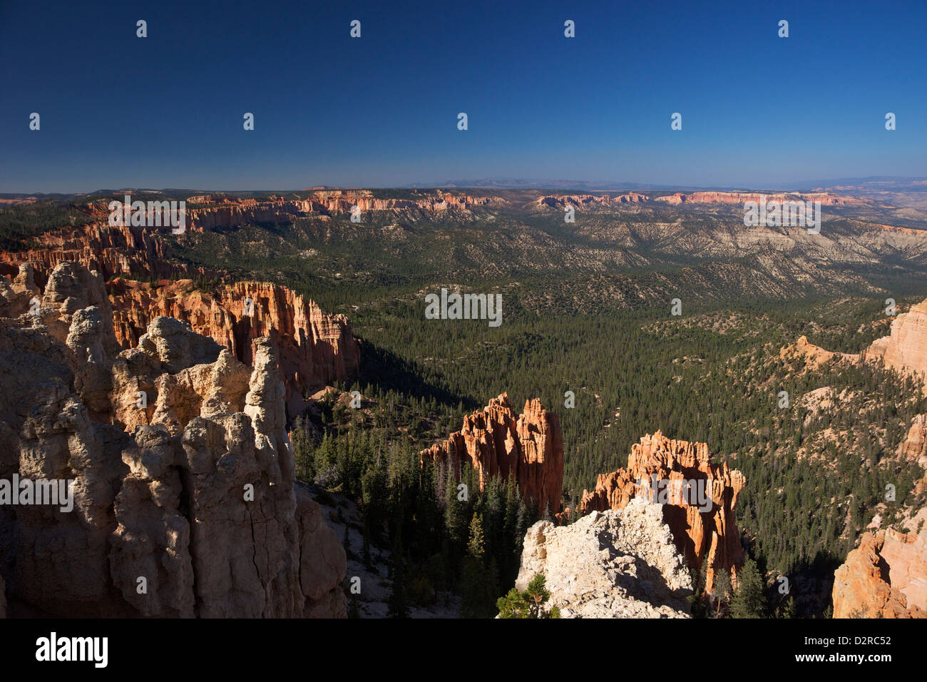 Blick am frühen Morgen vom Ponderosa Point, Bryce-Canyon-Nationalpark, Utah, Vereinigte Staaten von Amerika, Nordamerika Stockfoto