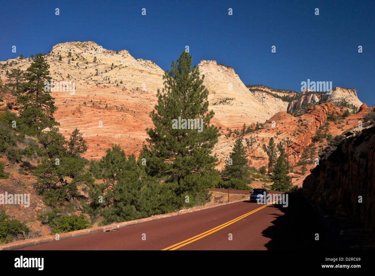 PKW auf Zion-Mount Carmel Highway, Zion Nationalpark, Utah, Vereinigte Staaten von Amerika, Nordamerika Stockfoto