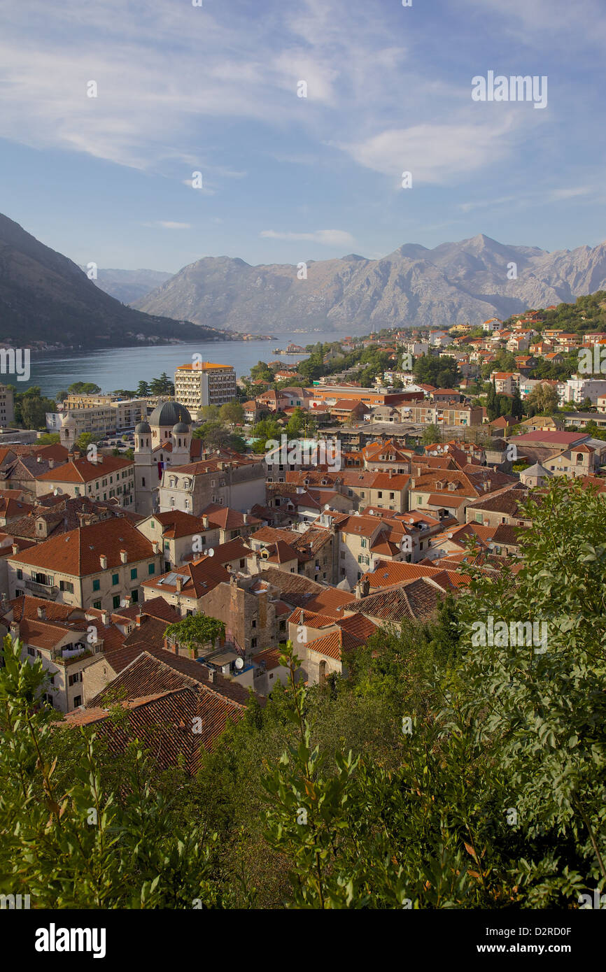 Blick auf Altstadt, Kotor, UNESCO World Heritage Site, Montenegro, Europa Stockfoto