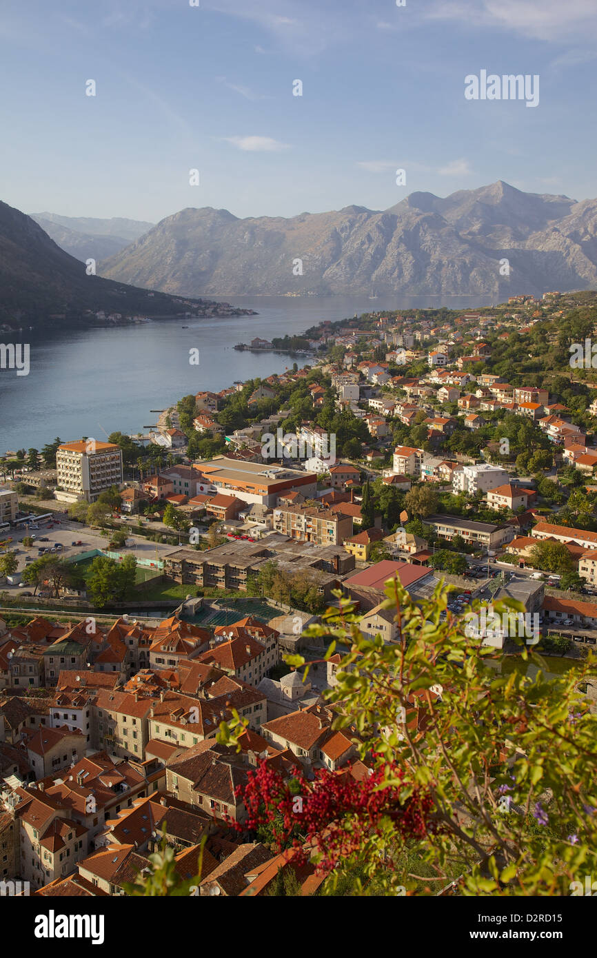 Blick über die Altstadt von der Festung, Kotor, UNESCO World Heritage Site, Montenegro, Europa Stockfoto