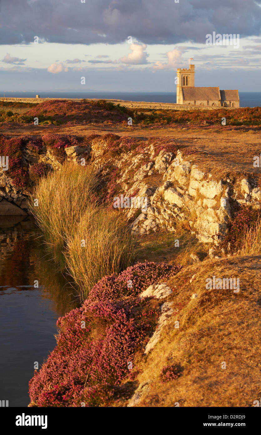 St Helena's Church Im goldenen Abendlicht mit Heidekraut und Rakete Pole Teich im Vordergrund auf Lundy Island, Devon, England, UK im August Stockfoto