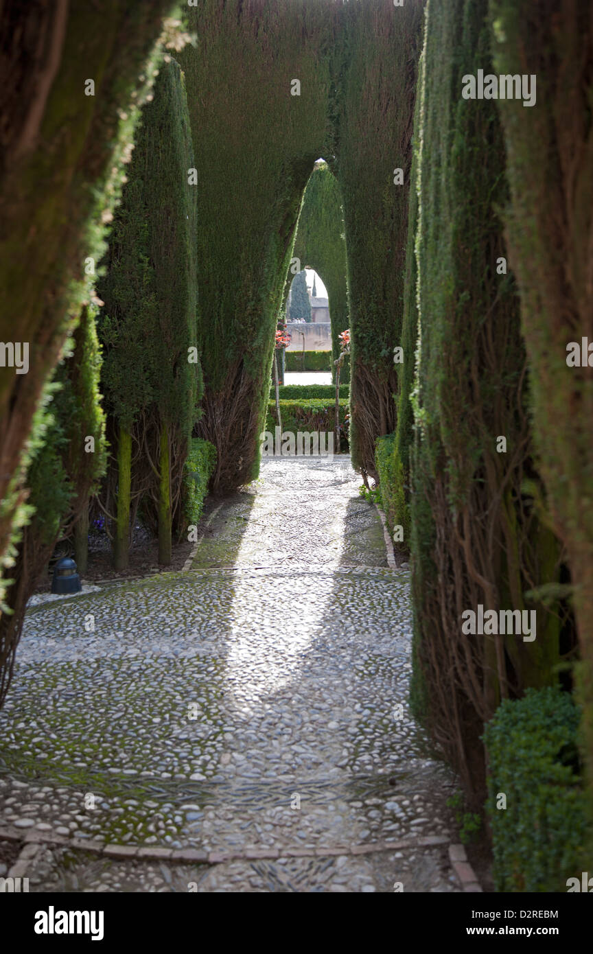 Dekorative Kopfsteinpflaster gehen weg und beschnittenen Hecken in den Gärten der Alhambra Granada Andalusien Spanien Stockfoto