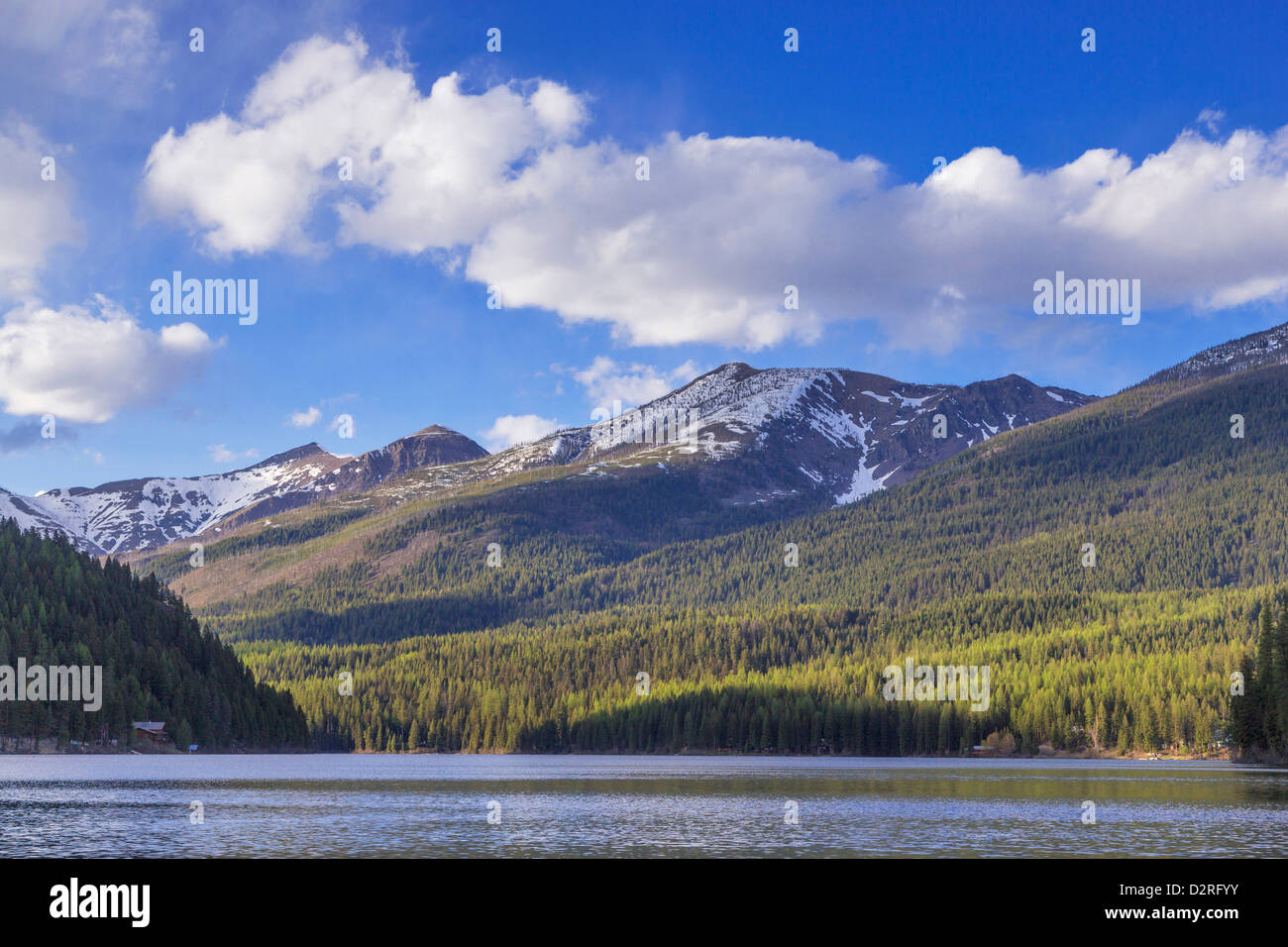 Coopers See im Lolo National Forest, Montana, USA Stockfoto