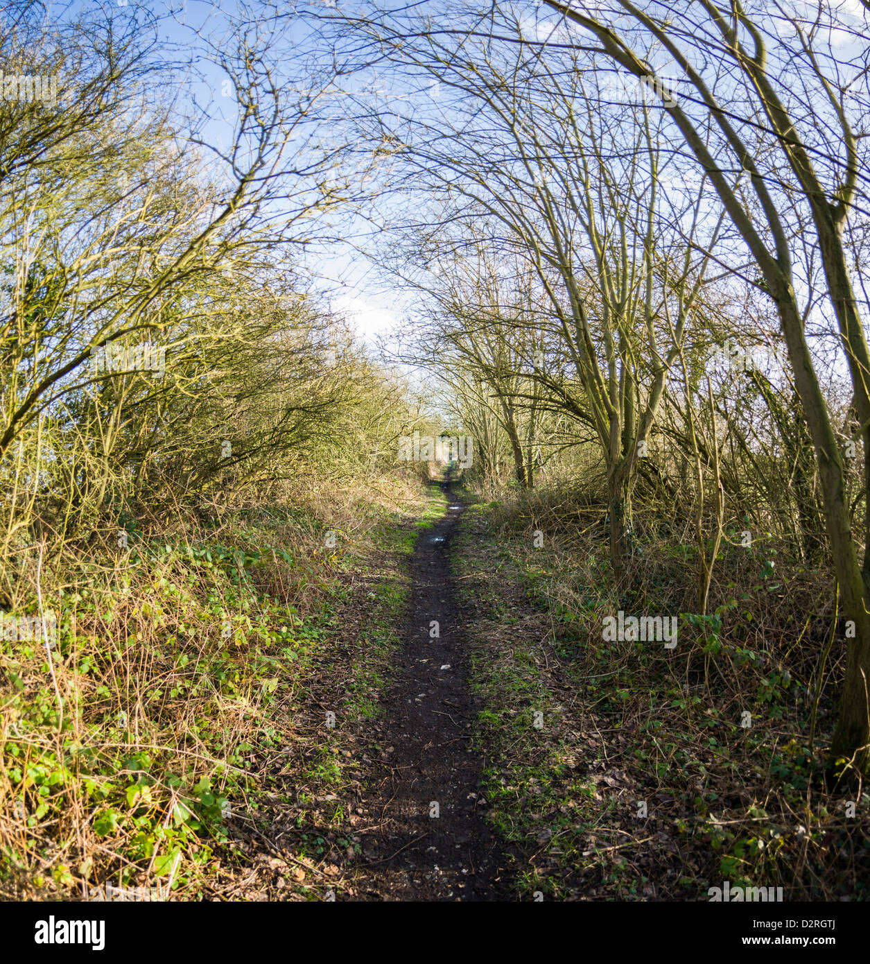 Wanderweg entlang der alten Eisenbahnlinie im Winter, Warwickshire, England, UK Stockfoto