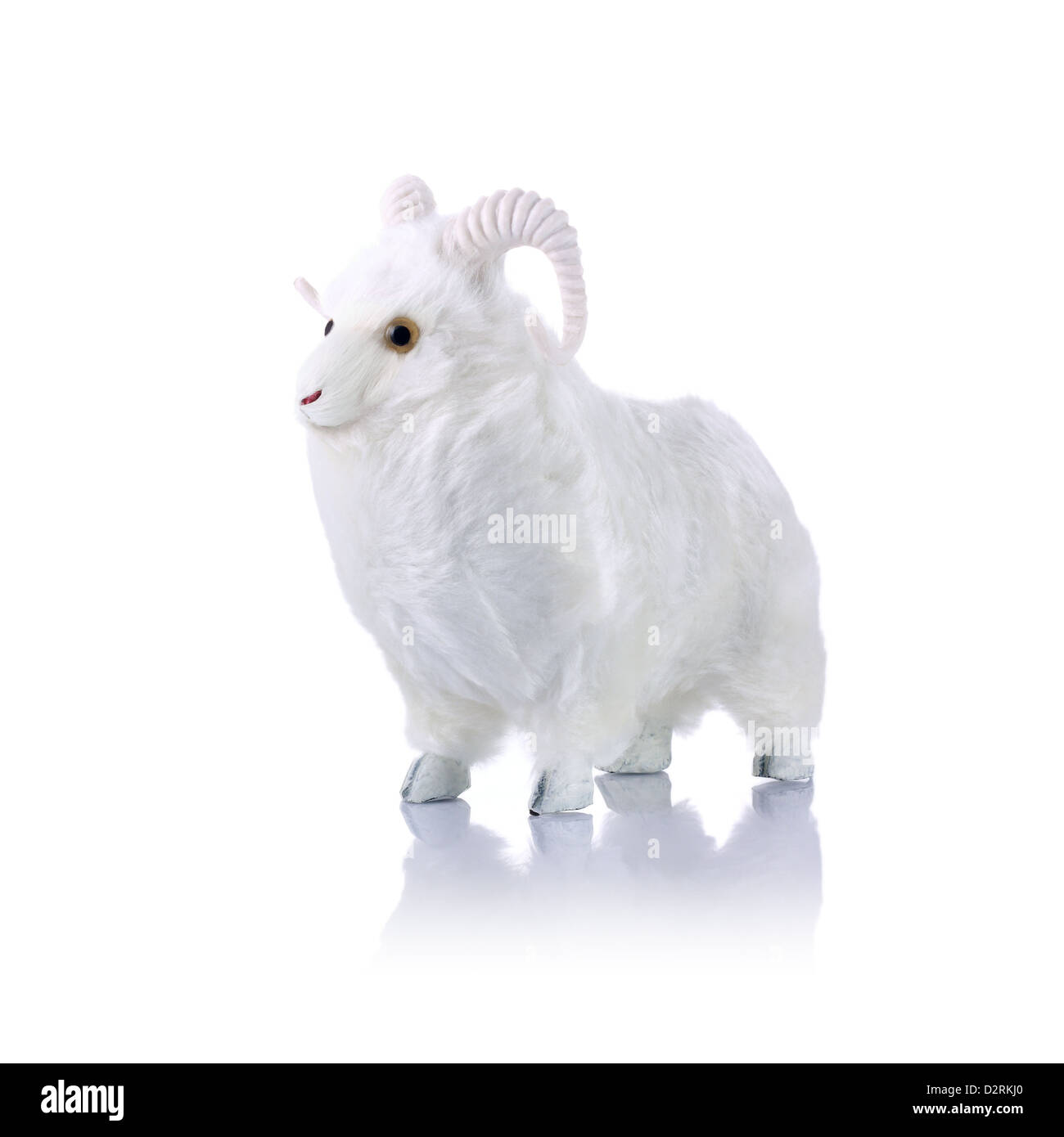 Modell Ram isoliert auf weißem Hintergrund Stockfoto