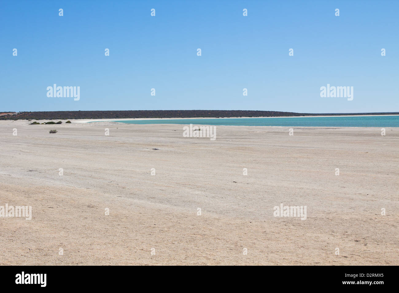 Shell Beach, Shark Bay, Westaustralien Stockfoto